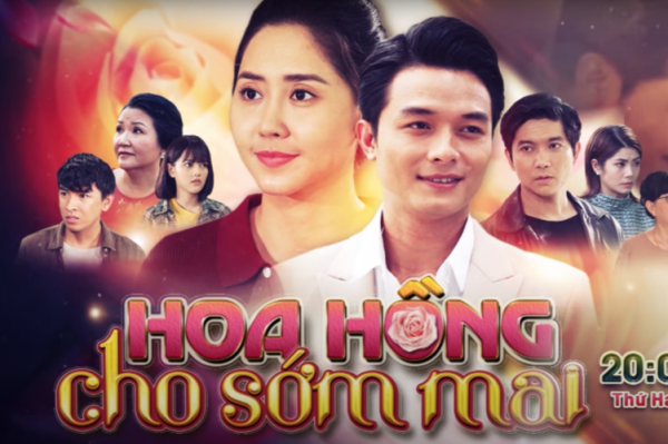HOA HỒNG CHO SỚM MAI