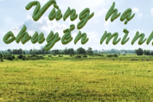 VÙNG HẠ CHUYỂN MÌNH